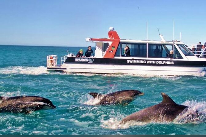 Akaroa Day Tour From Christchurch - Lunch, cheese, and how to use your two hours