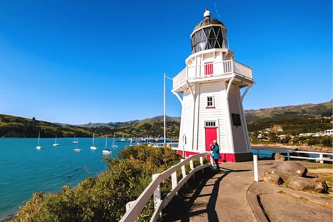 Akaroa Day Tour from Christchurch Return - The optional Hector’s dolphin cruise