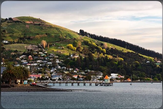 Akaroa Day Tour From Christchurch - Lyttelton Harbour and the volcanic start
