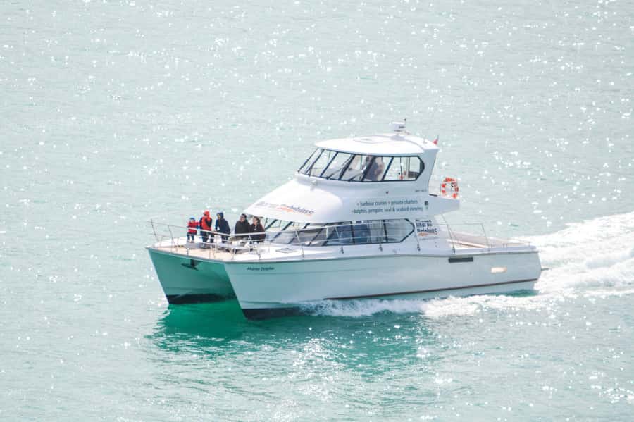 Akaroa: Dolphin Nature Cruise - Why Akaroa Harbour makes a fine setting
