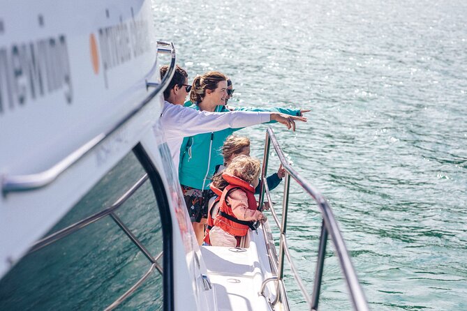 Akaroa Dolphins ~ Harbour Nature Cruise - Boarding the catamaran at 65 Beach Road
