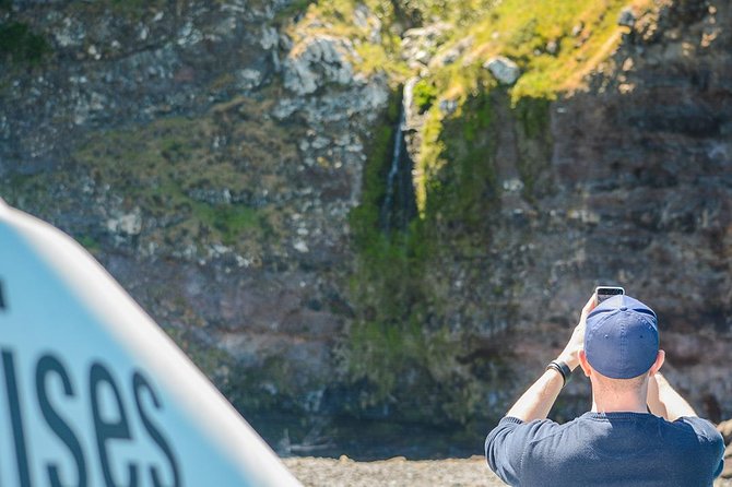 Akaroa Dolphins ~ Harbour Nature Cruise - Akaroa Harbour wildlife watching