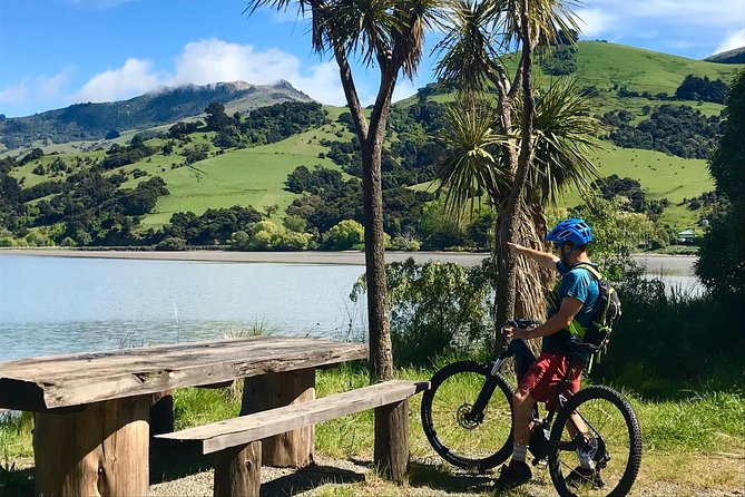 Akaroa Explorer- Guided Electric Bike Tour in Akaroa - Timing, weather, and cruise ship planning