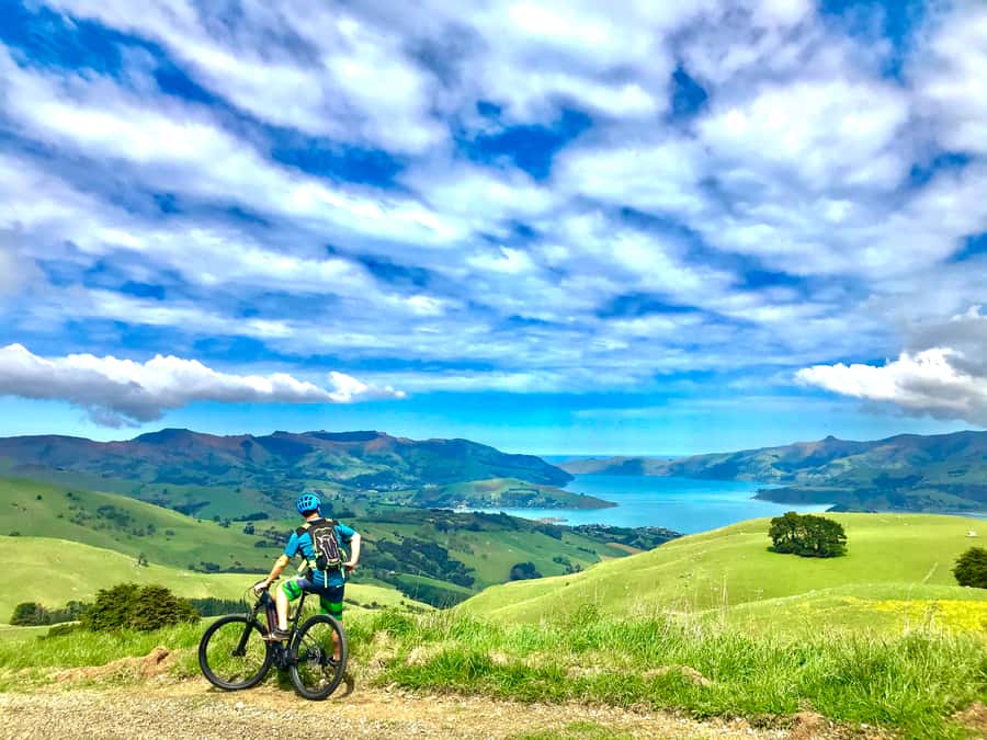 Akaroa Explorer: Guided Electric Mountain Bike Tour - Akaroa village, told from the saddle