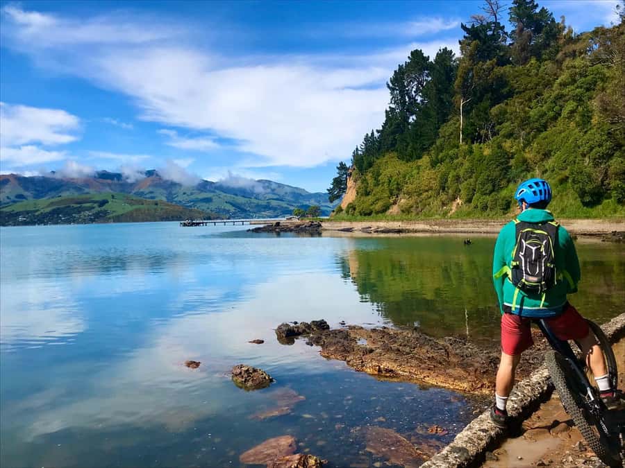 Akaroa Explorer: Guided Electric Mountain Bike Tour - Hills, descents, and the right level of effort