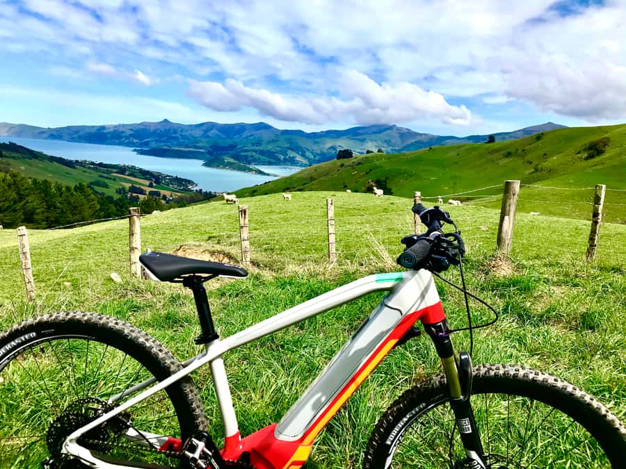 Akaroa Explorer: Guided Electric Mountain Bike Tour - Should you book the Akaroa Explorer?