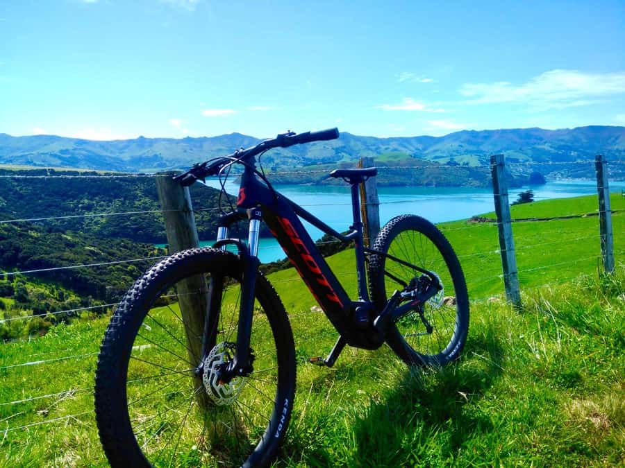 Akaroa Explorer: Guided Electric Mountain Bike Tour - Finding your rhythm on a Scott e-bike