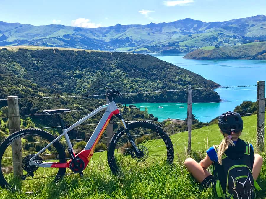 Akaroa: Guided Electric Mountain Bike Tour-Lava Loop - Why the Lava Loop is worth your morning
