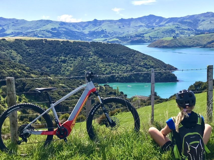 Akaroa: Guided Electric Mountain Bike Tour-Lava Loop - The climb pays you back with Akaroa views