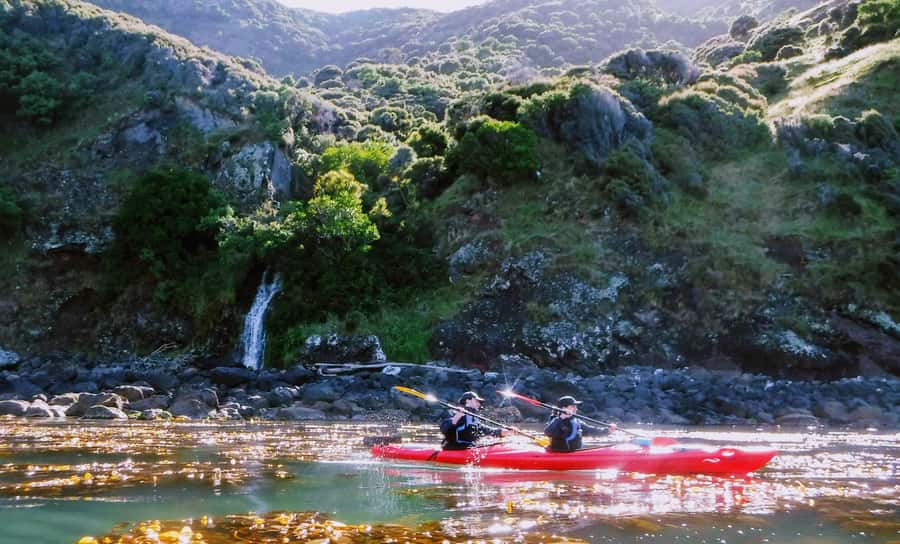 Akaroa: Guided Sunrise Sea Kayaking Tour - Key points at a glance