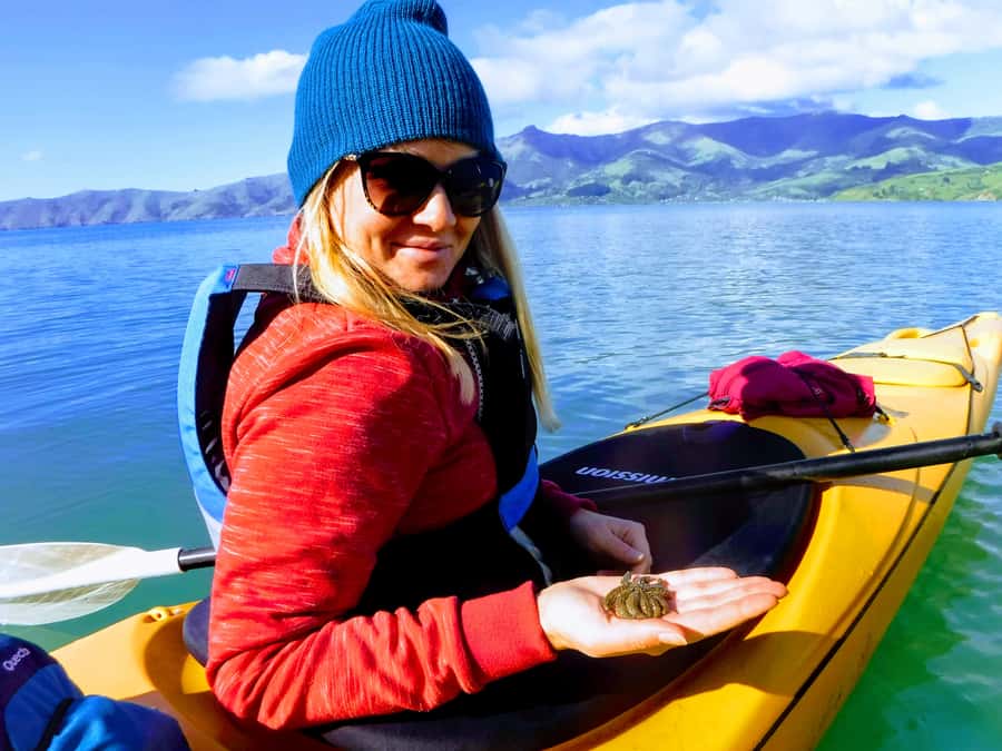 Akaroa: Guided Sunrise Sea Kayaking Tour - The safety briefing is short but important