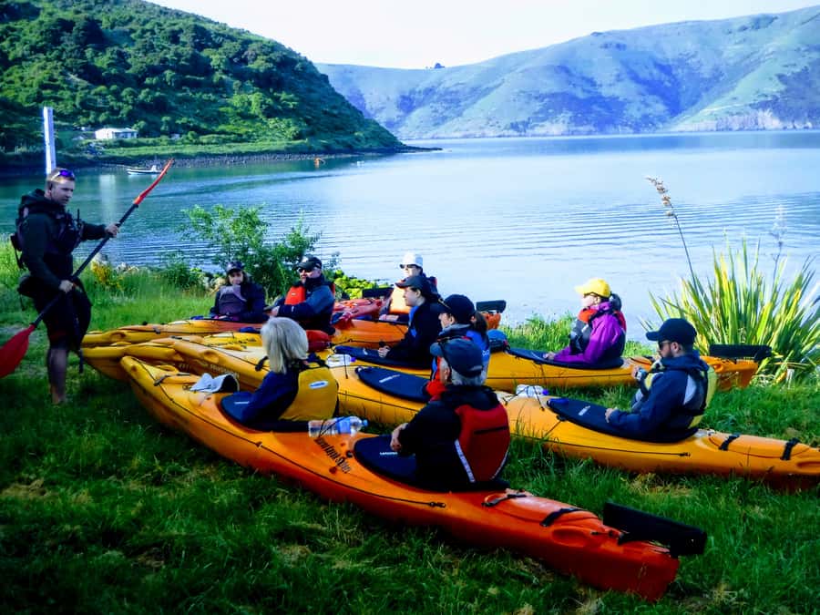 Akaroa: Guided Sunrise Sea Kayaking Tour - The $92 price and what you receive