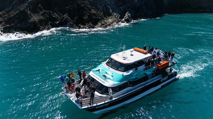 Akaroa Harbour 2-Hour Dolphin Nature Cruise - Commentary that gives the cruise its shape
