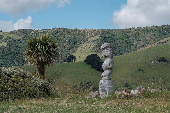 Akaroa Nature and History Private Tour - The 7th Generation - The nature drive toward Hinewai Reserve