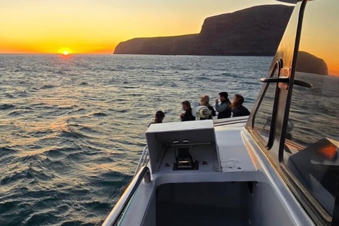 Akaroa Private Day Trip From Christchurch - Cheese tasting, lunch, and the dolphin cruise