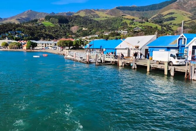 Akaroa Private Day Trip From Christchurch - What the guide and vehicle add