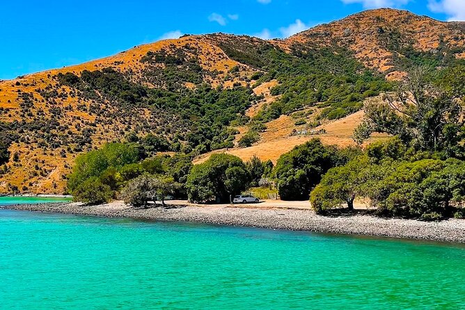 Akaroa Private Day Trip From Christchurch - Little River and the changing scenery
