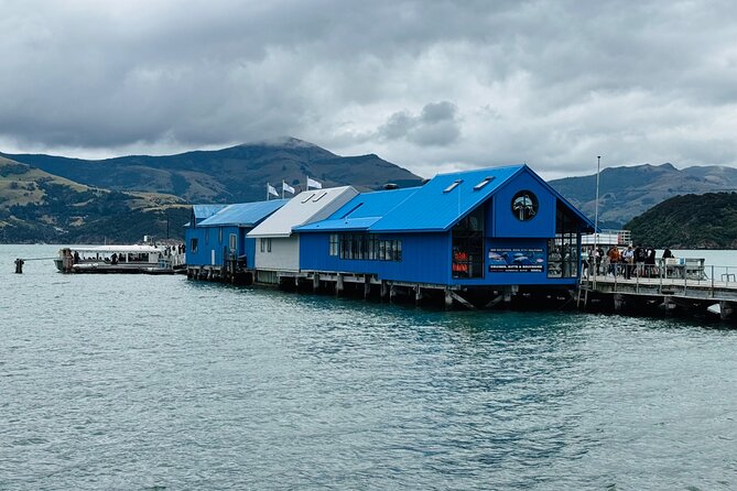 Akaroa Private Group Day Trip from Christchurch - Why the private format works well