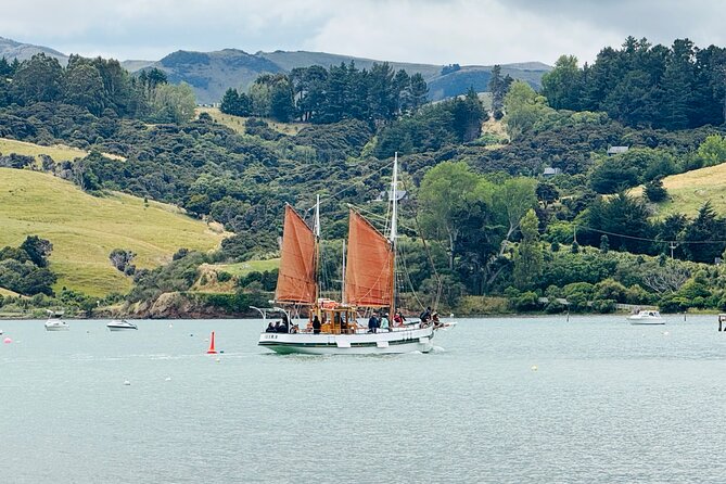 Akaroa Private Group Day Trip from Christchurch - What the guides add to the journey
