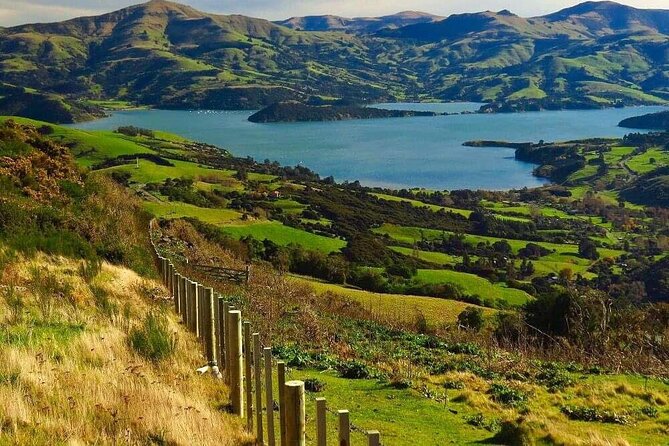 Akaroa Private Group Day Trip from Christchurch - Little River and the change in scenery