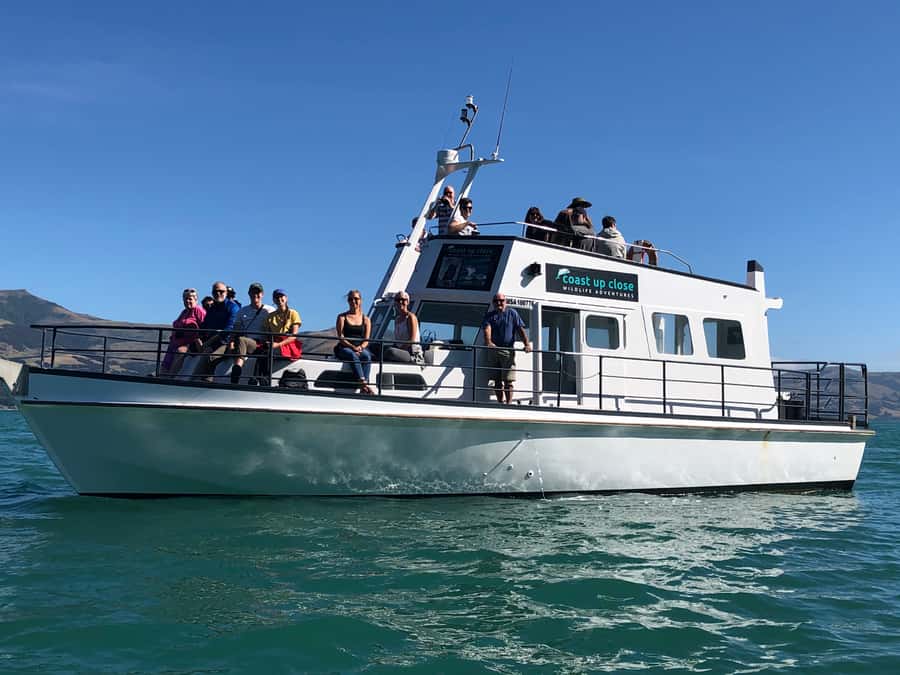 Akaroa: Scenic Coastline Wildlife Cruise - Tony, Muffy, and Scruffy bring local character