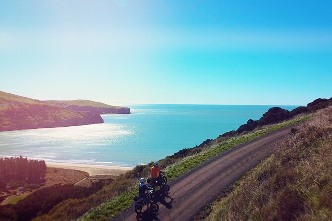 Akaroa Self Guided Electric Scooter Tour - Who will enjoy this most