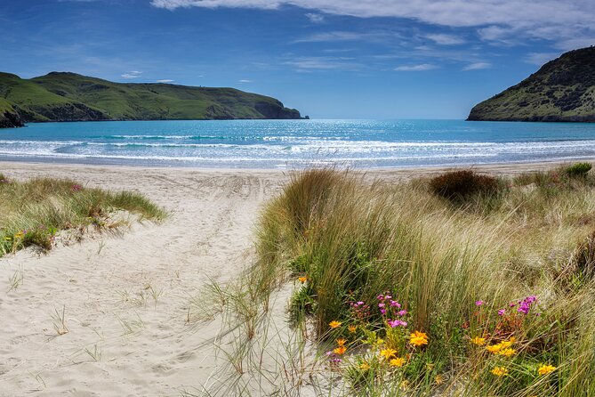 Akaroa Self Guided Electric Scooter Tour - Starting at 9:30 am with Andrew’s local help