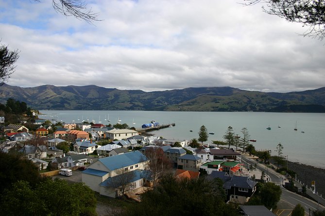 Akaroa Shore Excursion: Akaroa Harbour and Giants House Local Tour - Akaroa Harbour and the volcanic rim