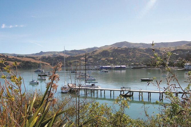Akaroa Shore Excursion: Banks Peninsula and Christchurch City Sights Tour - Crossing Banks Peninsula by coach