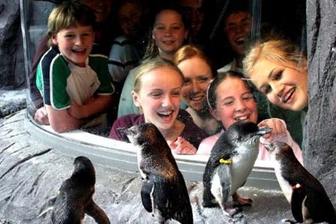 Akaroa Shore Excursion: Banks Peninsula, Christchurch City Tour and the International Antarctic Centre - What the guides add to the day