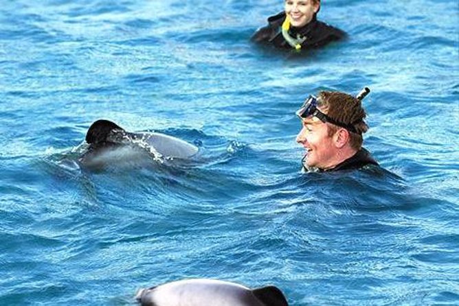 Akaroa Swim with Dolphins Tour from Christchurch - Christchurch to Akaroa: a scenic road day, not just a transfer