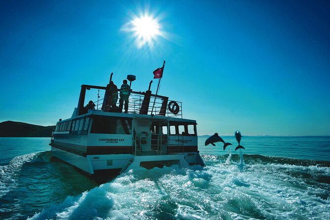 Akaroa Swim with Dolphins Tour from Christchurch - Why the conservation rules improve the experience