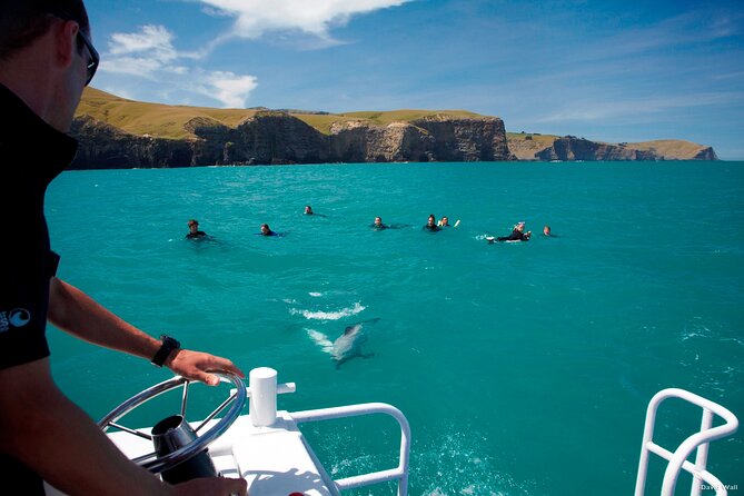 Akaroa Swim with Dolphins Tour from Christchurch - Barry’s Bay cheese tasting on the return route