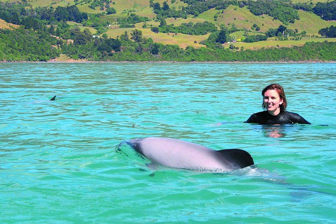 Akaroa Swim with Dolphins Tour from Christchurch - Akaroa Harbour and the search for Hector’s dolphins
