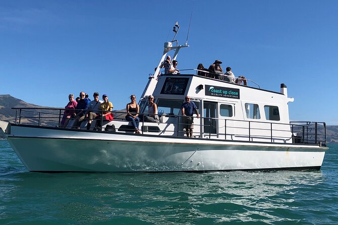 Akaroa Wildlife Cruise - Key points to know before you go