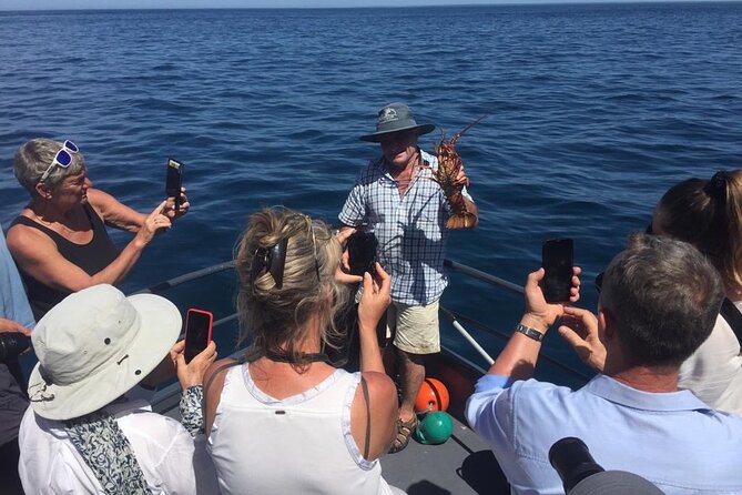Akaroa Wildlife Cruise - Who will enjoy this Akaroa cruise?