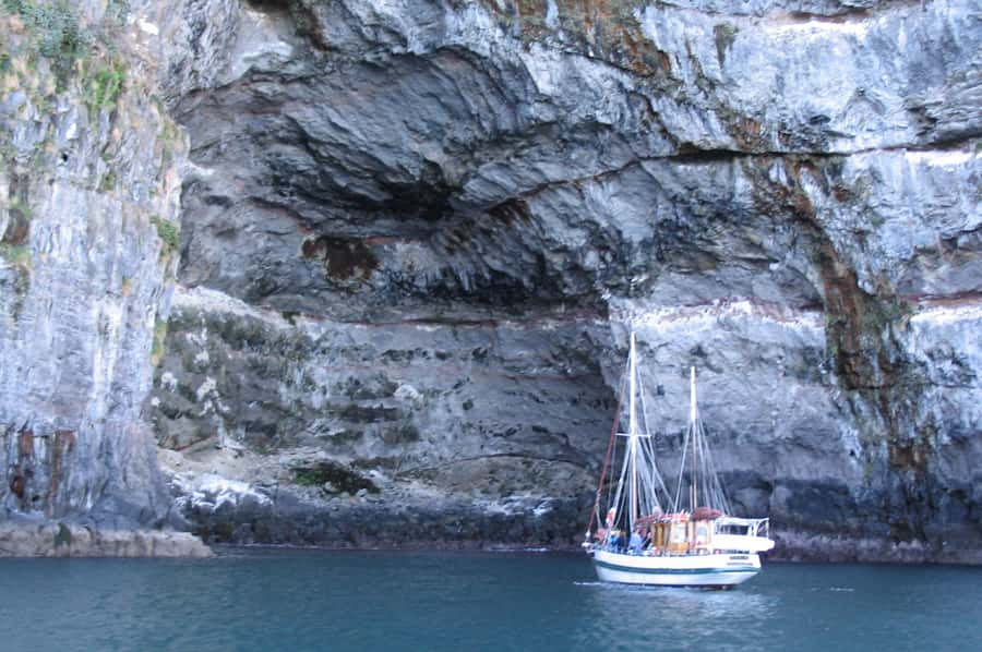 Akaroa: Wildlife Cruise with Dolphins and Penguins - Why Akaroa Harbour is such a good setting