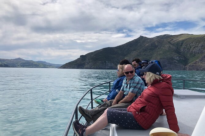 Akaroa Wildlife Cruise - Searching for Hector’s dolphins