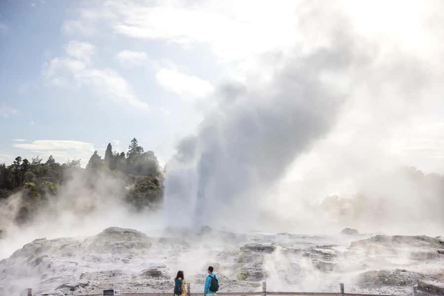 AKL: Te Puia Maori Haka, Kiwi Birds, Redwood & Blue Springs - Te Puia: Geysers, Mud Pools and Māori Craft