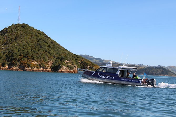 Albatross, seals, and sea birds-Wildlife Cruise - What the 14-person boat feels like