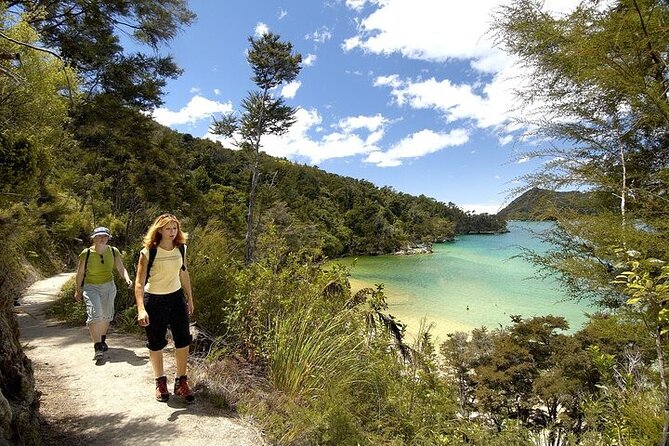 Anchorage Walk and Sail - Why this Abel Tasman day works so well