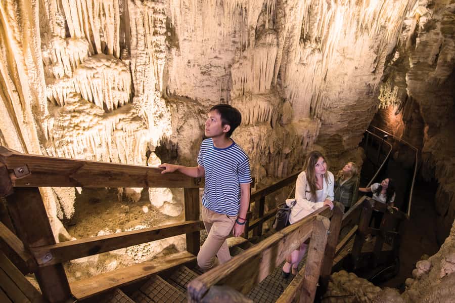Aranui Cave 1-Hour Guided Tour - Key Things To Know Before You Go