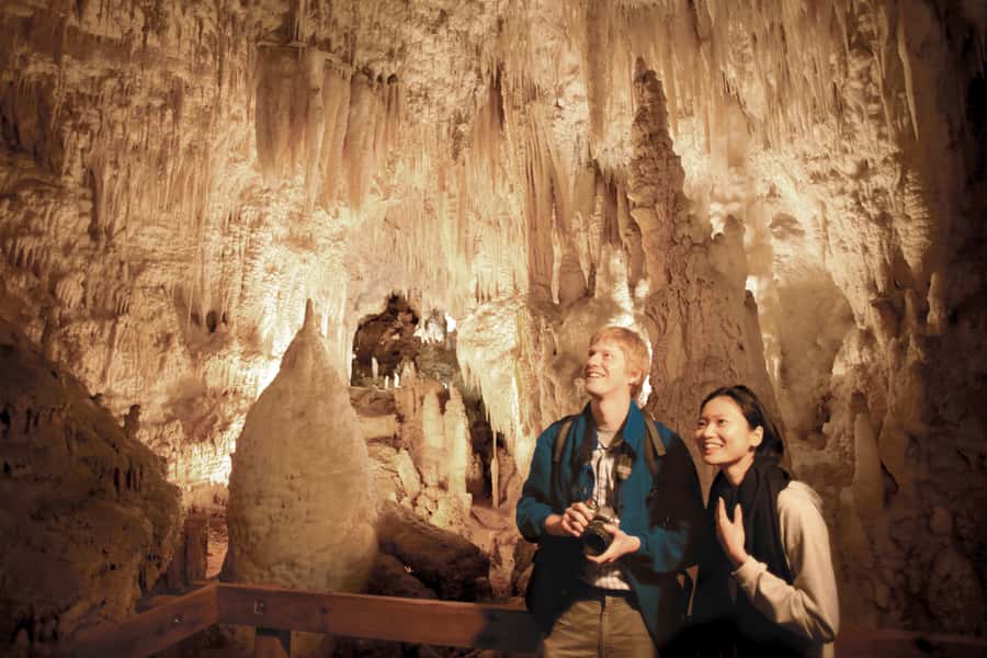 Aranui Cave 1-Hour Guided Tour - The Guided Bush Walk Through Ruakuri Scenic Reserve