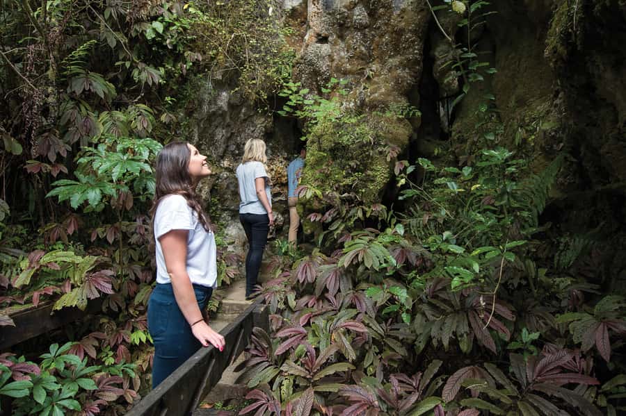 Aranui Cave 1-Hour Guided Tour - What The Guide Adds To The Visit