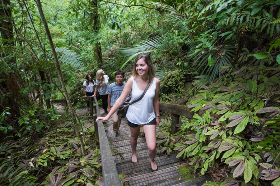 Aranui Cave 1-Hour Guided Tour - Is The One-Hour Format Long Enough?