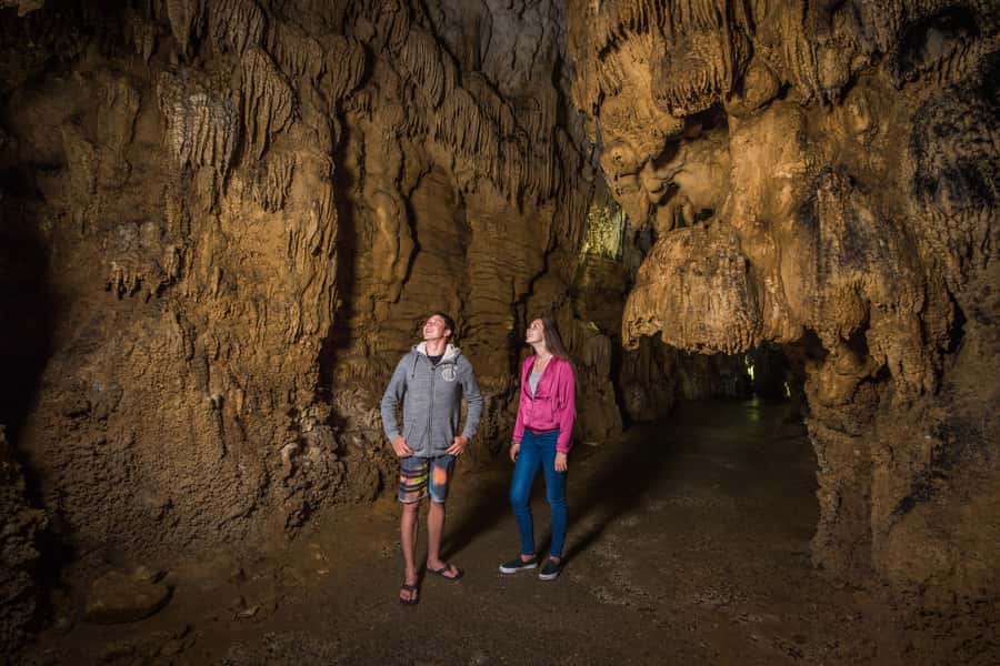 Aranui Cave 1-Hour Guided Tour - Starting at the Waitomo Glowworm Caves Visitor Centre