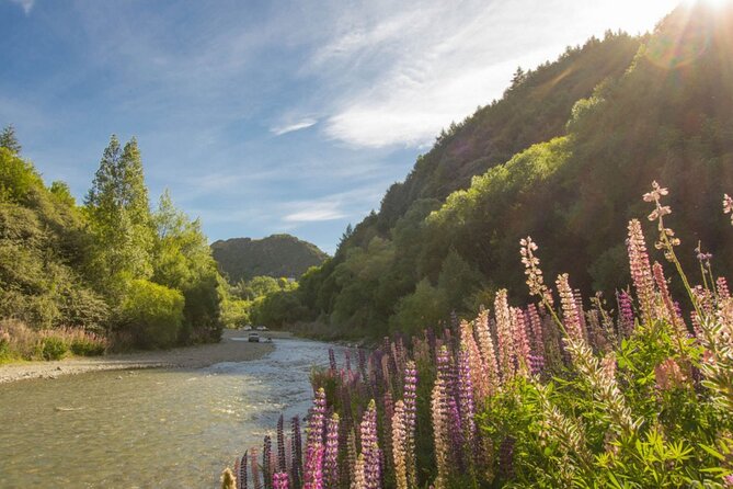 Arrowtown to Queenstown Bike Tour with Shuttle - Arrow River: gold-mining stories beside the water