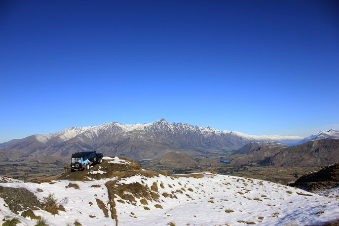 Arrowtown Wanaka Private Day Tour from Queenstown - The Wanaka Tree is a short stop with a big photo payoff