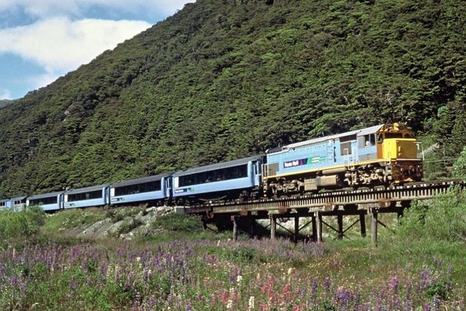 Arthur's Pass and TranzAlpine Train Day Tour from Christchurch - Why this tour works better than a simple train ride