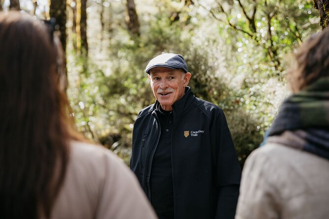 Arthur's Pass Discovery and TranzAlpine Train - Small Group Tour - Arthur’s Pass National Park and the old road west